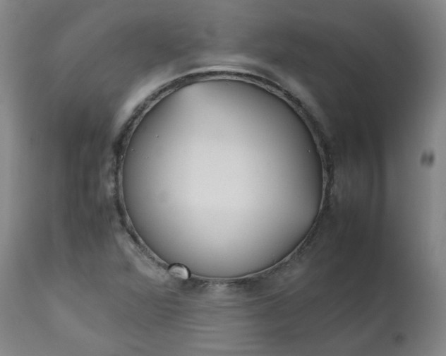 X0000112511360200908311322