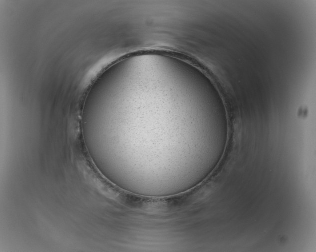 X0000112511363200908311322