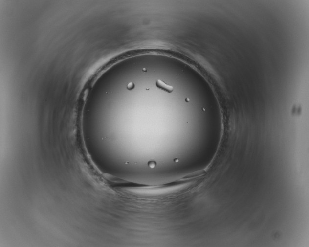 X0000112511364200908311322