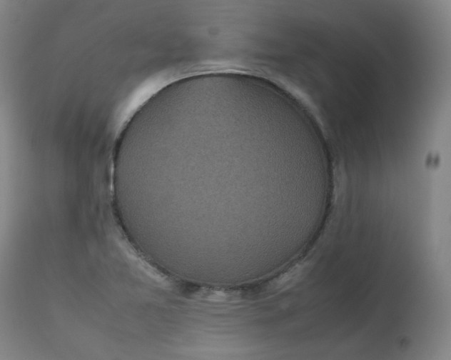 X0000112511365200908311322