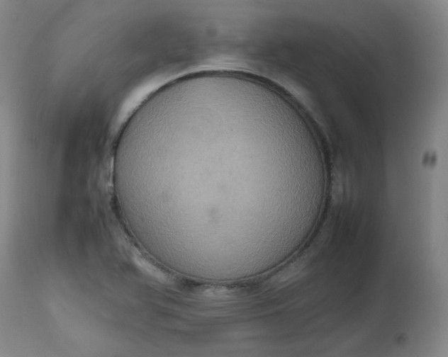 X0000112511366200908311322