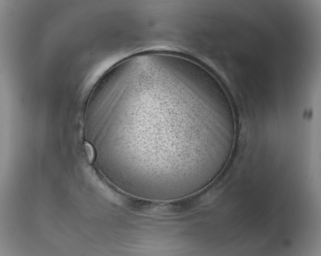 X0000112511367200908311322