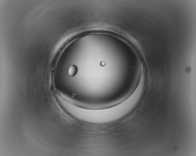 X0000112511368200908311322