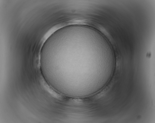 X0000112511370200908311322