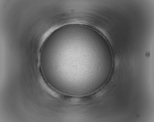 X0000112511371200908311322