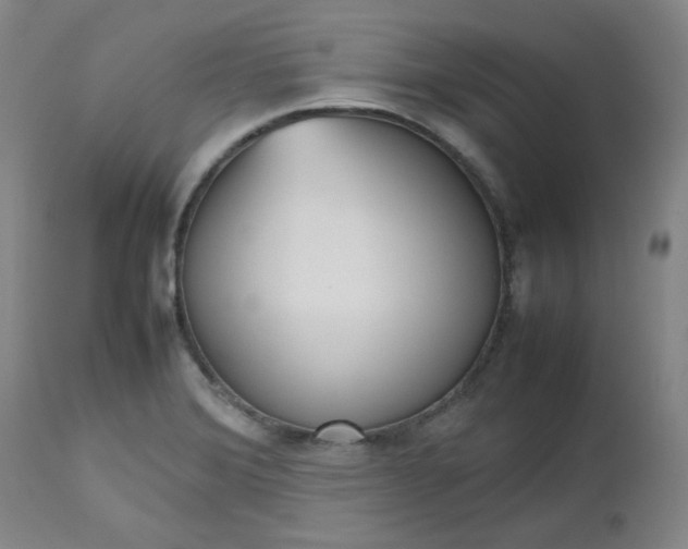 X0000112511372200908311322