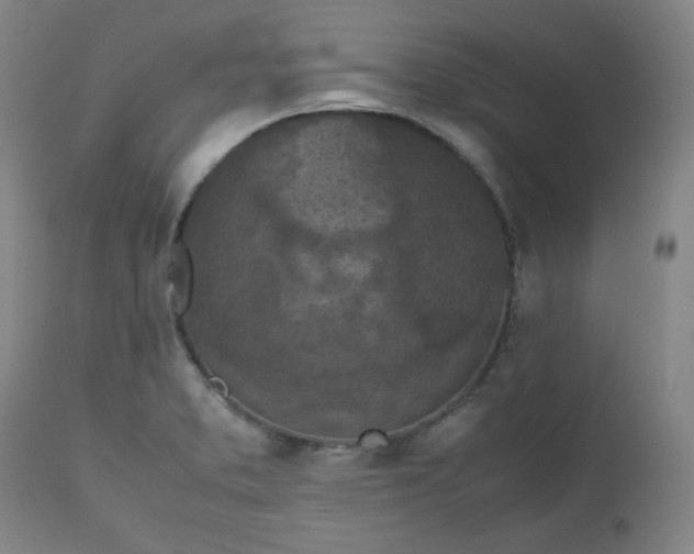 X0000112511373200908311322