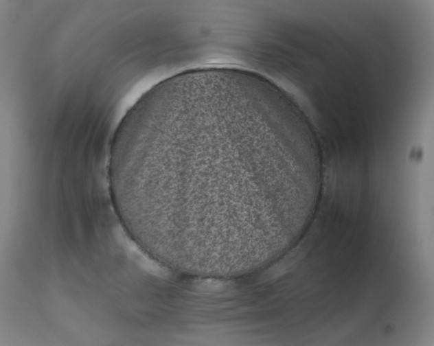 X0000112511374200908311322