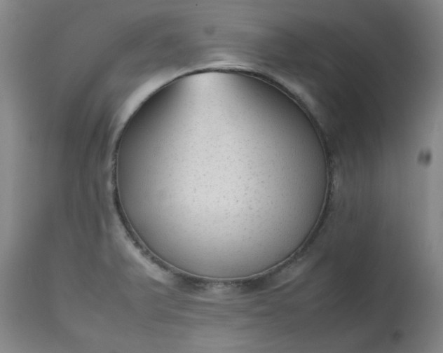 X0000112511375200908311322