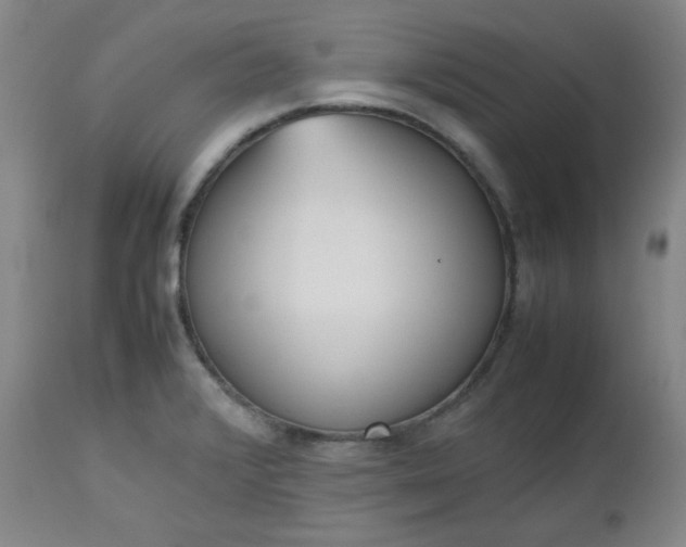 X0000112511376200908311322