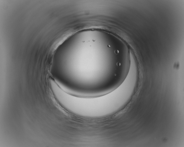 X0000112511377200908311322