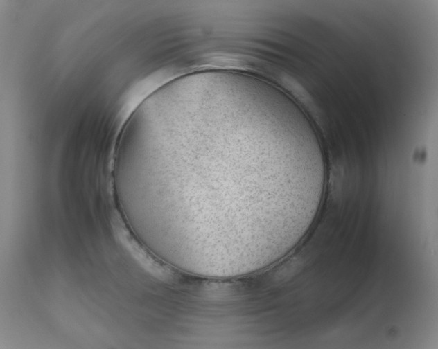 X0000112511378200908311322