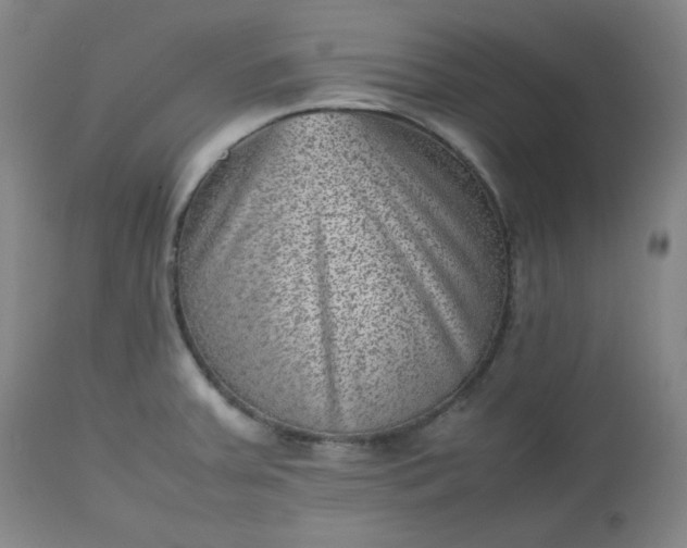 X0000112511379200908311322