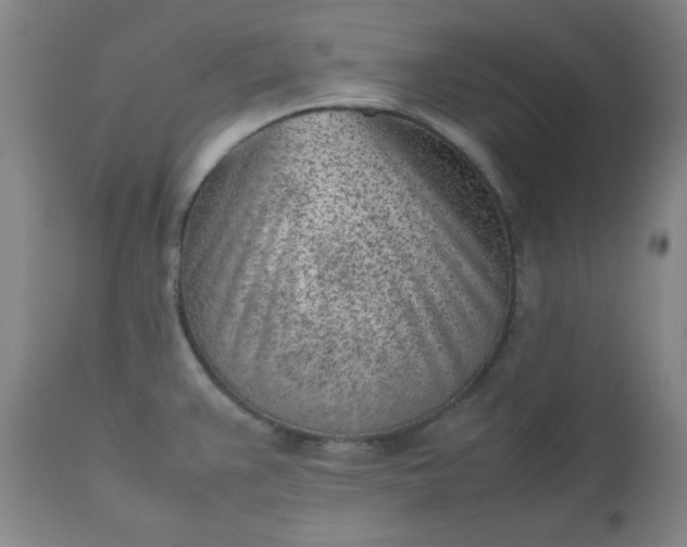 X0000112511383200908311322