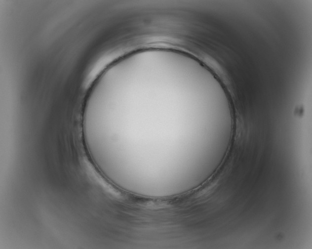 X0000112511384200908311322