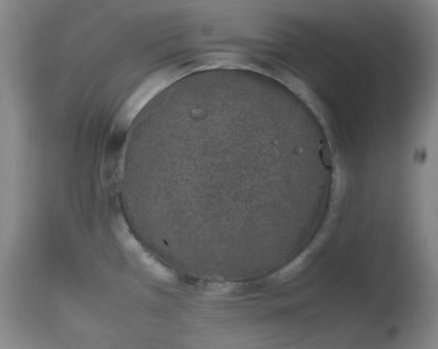 X0000112511385200908311322