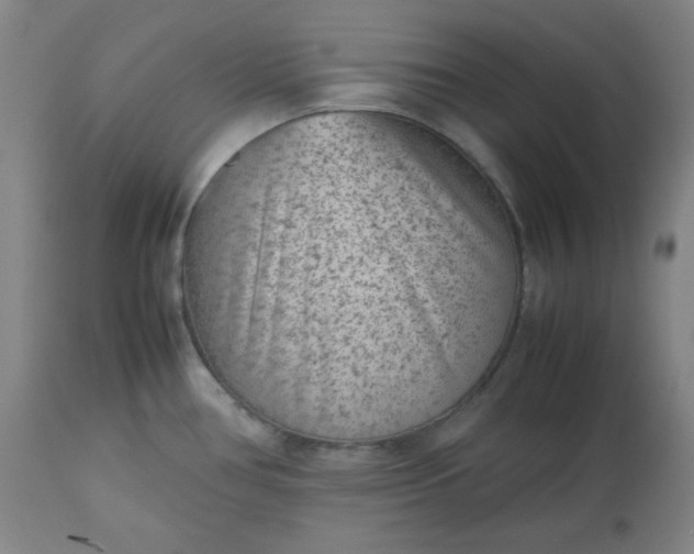 X0000112511386200908311322