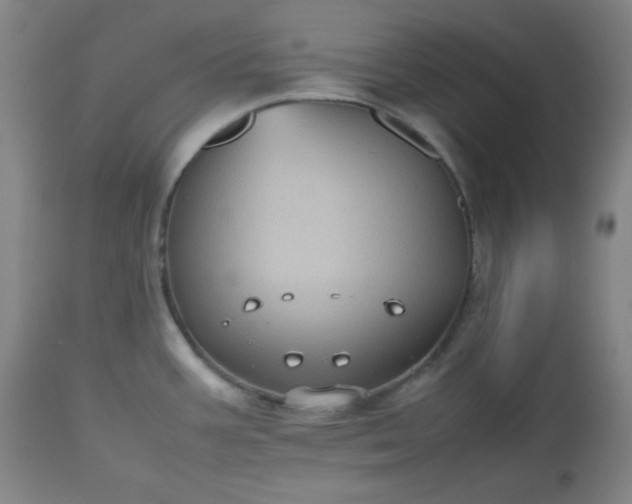 X0000112511387200908311322