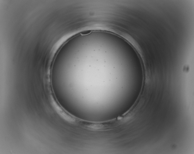 X0000112511388200908311322