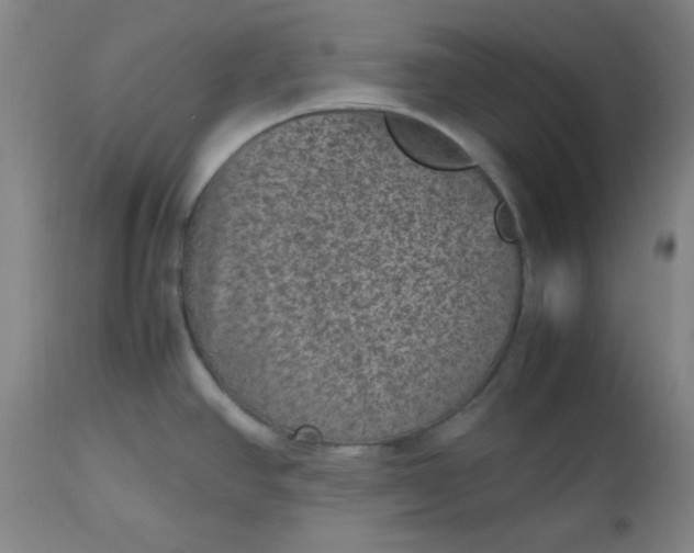 X0000112511390200908311322