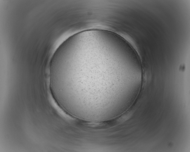 X0000112511391200908311322