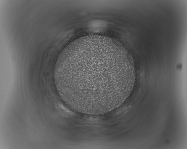 X0000112511393200908311321