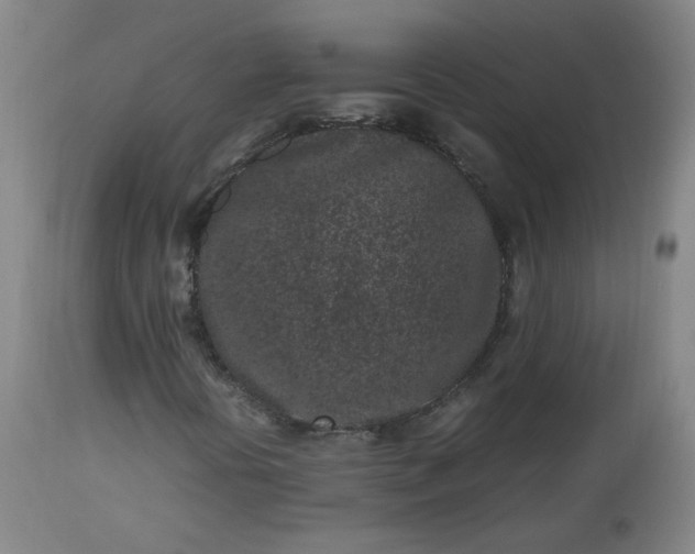 X0000112511394200908311321