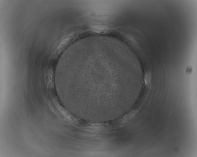 X0000112511396200908311321