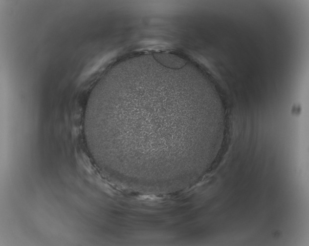 X0000112511399200908311321