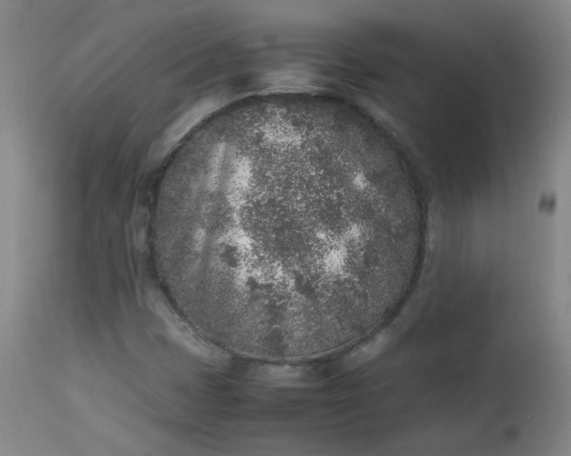 X0000112511401200908311321