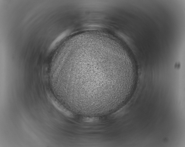 X0000112511403200908311321