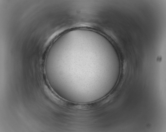 X0000112511404200908311321