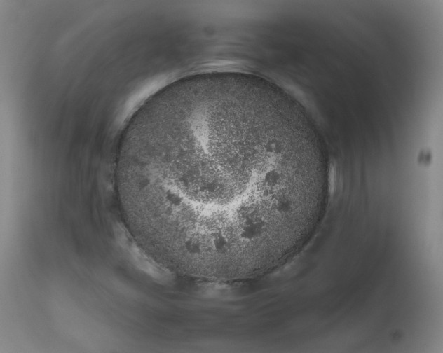 X0000112511405200908311321