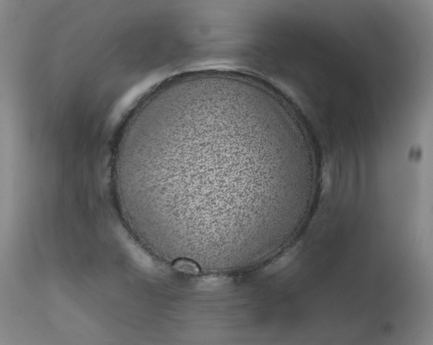 X0000112511406200908311321