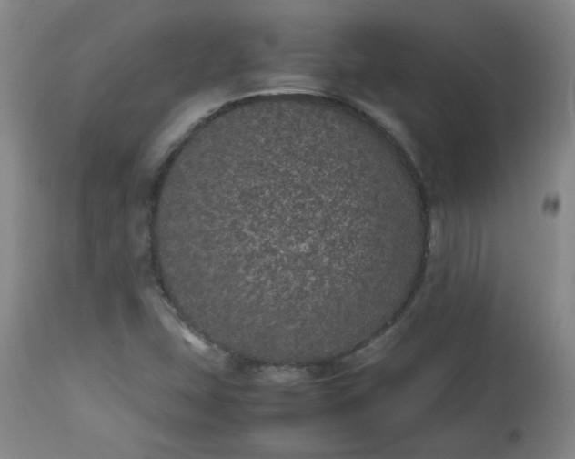 X0000112511407200908311321