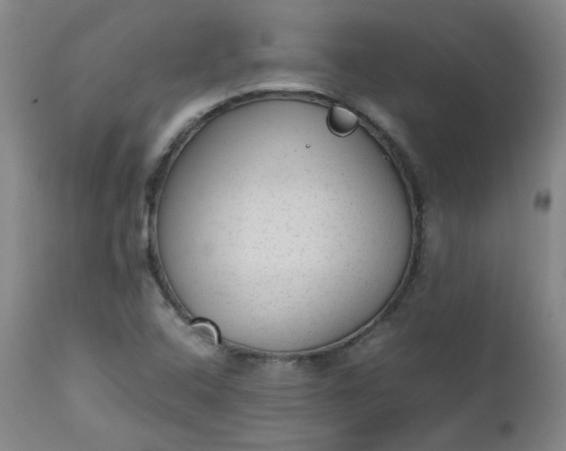 X0000112511408200908311321