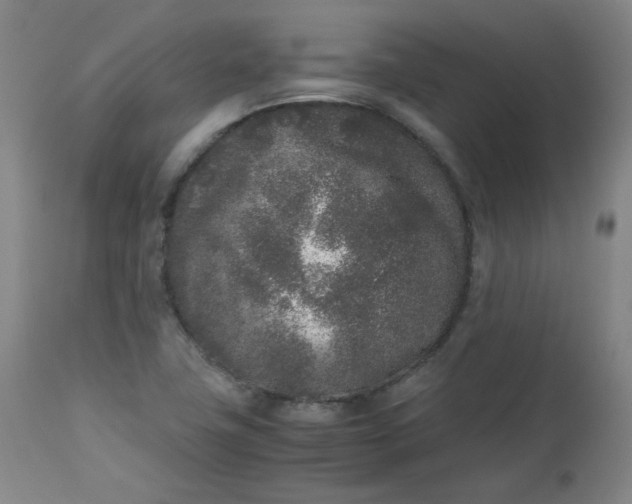 X0000112511411200908311322