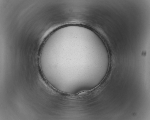 X0000112511412200908311322