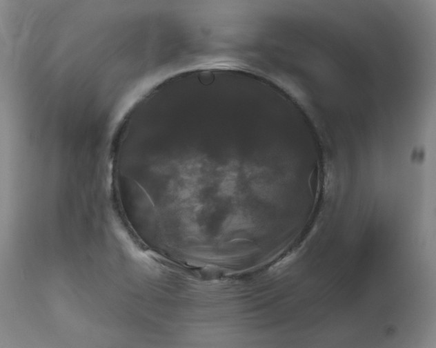 X0000112511414200908311322