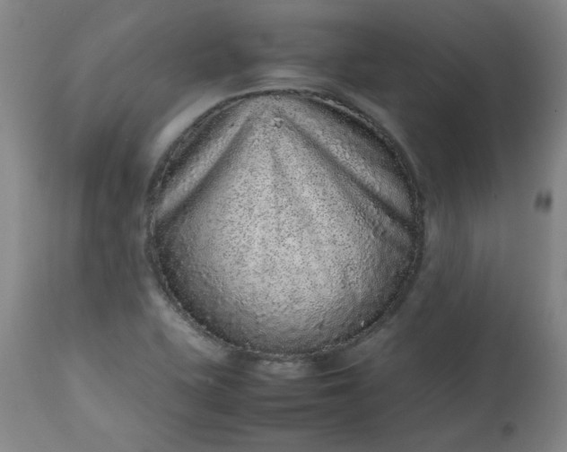 X0000112511415200908311322