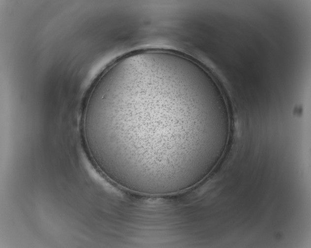 X0000112511416200908311322