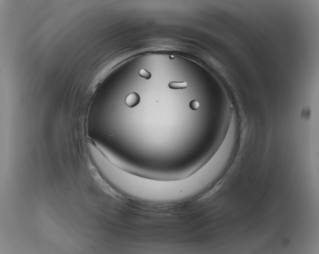 X0000112511417200908311322