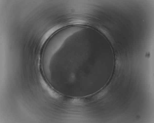 X0000112511418200908311322