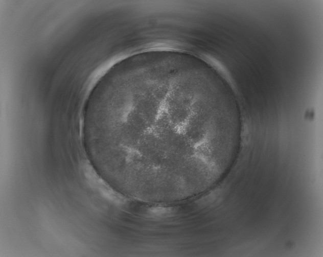 X0000112511419200908311322