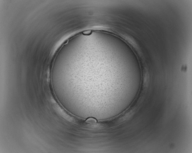 X0000112511420200908311322