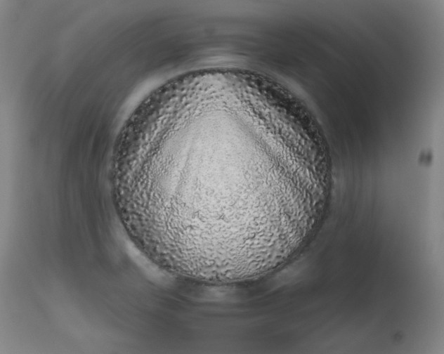 X0000112511421200908311322