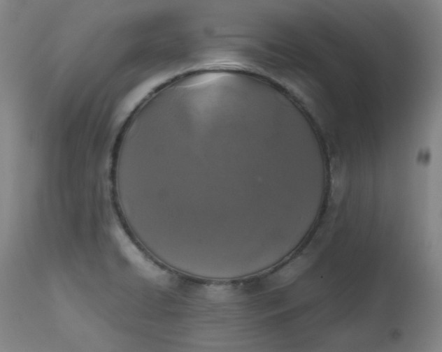 X0000112511422200908311322