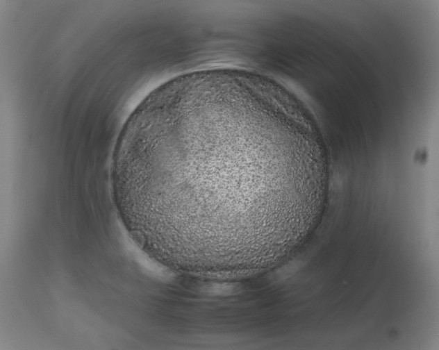 X0000112511423200908311322