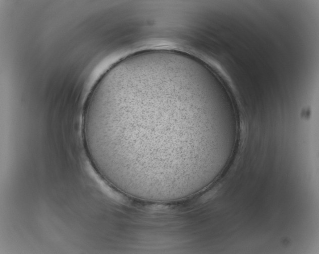 X0000112511424200908311322