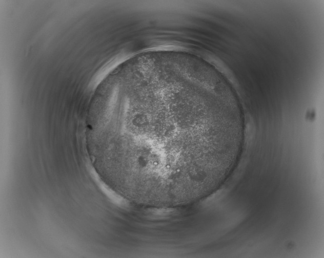 X0000112511425200908311322